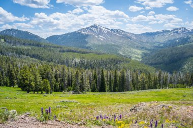 Yellowstone Ulusal Parkı, Wyoming 'de doğaya güzel bir bakış açısı