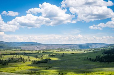 Yellowstone Ulusal Parkı, Wyoming 'de doğaya güzel bir bakış açısı