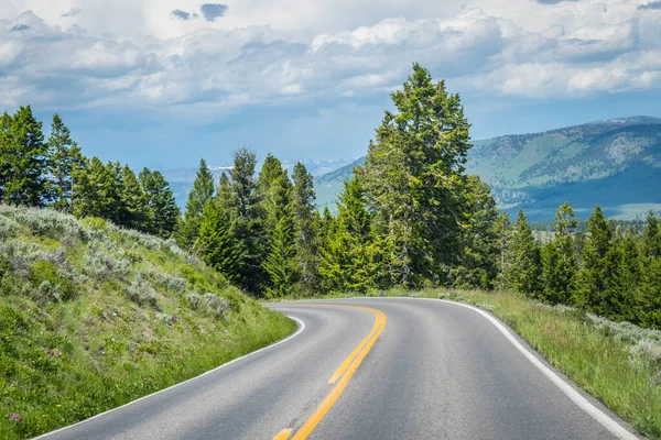 Lång Väg Ner Vägen Till Yellowstone National Park Wyoming — Stockfoto