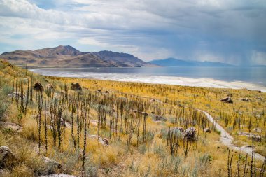 Utah 'taki Antilop Adası Eyalet Parkı' na bakan doğa manzarası.