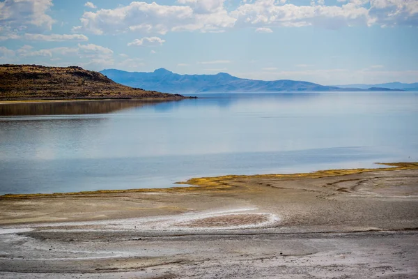 Widok Przyrodę Parku Stanowym Antelope Island Utah — Zdjęcie stockowe