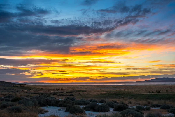 Cenário Vibrante Dramático Pôr Sol Parque Estadual Ilha Antelope Utah — Fotografia de Stock