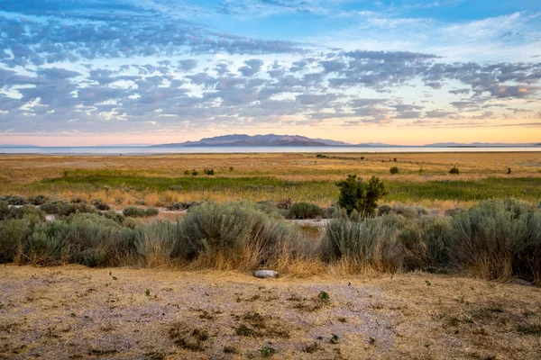 Una Vista Panorámica Naturaleza Antelope Island State Park Utah —  Fotos de Stock