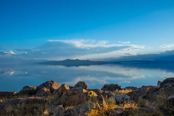 Blick Auf Die Landschaft Des Antelope Island State Park Utah — Stockfoto