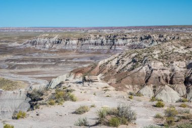 Taşlaşmış Orman Ulusal Parkı, Arizona 'daki Mavi Mesa Yolu.