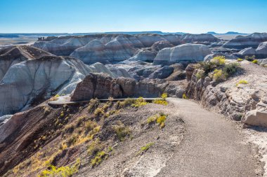 Taşlaşmış Orman Ulusal Parkı, Arizona 'daki Mavi Mesa Yolu.