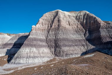 Taşlaşmış Orman Ulusal Parkı, Arizona 'daki Mavi Mesa Yolu.