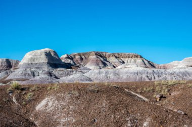 Taşlaşmış Orman Ulusal Parkı, Arizona 'daki Mavi Mesa Yolu.