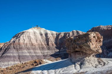 Taşlaşmış Orman Ulusal Parkı, Arizona 'daki Mavi Mesa Yolu.