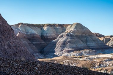 Taşlaşmış Orman Ulusal Parkı, Arizona 'daki Mavi Mesa Yolu.