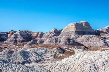 Taşlaşmış Orman Ulusal Parkı, Arizona 'daki Mavi Mesa Yolu.