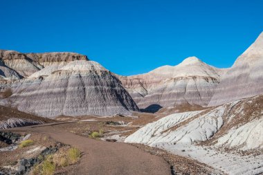 Taşlaşmış Orman Ulusal Parkı, Arizona 'daki Mavi Mesa Yolu.