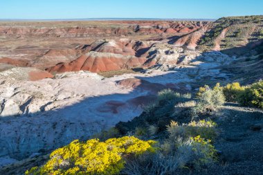 Arizona 'daki Petrified Forest Ulusal Parkı' ndaki Rim Trail.