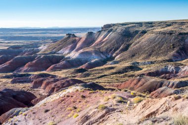 Arizona 'daki Petrified Forest Ulusal Parkı' ndaki Rim Trail.