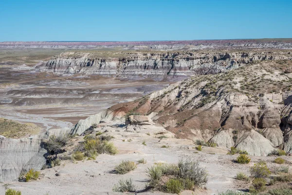 Taşlaşmış Orman Ulusal Parkı, Arizona 'daki Mavi Mesa Yolu.