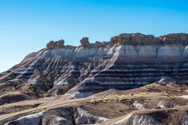 Taşlaşmış Orman Ulusal Parkı, Arizona 'daki Mavi Mesa Yolu.