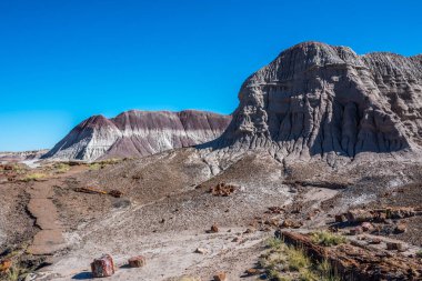 Taşlaşmış Orman Ulusal Parkı, Arizona 'daki Mavi Mesa Yolu.