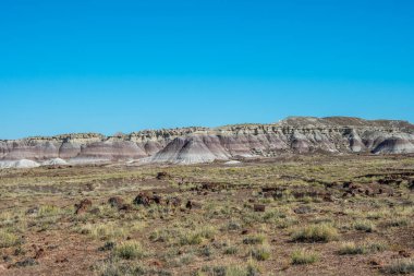 Taşlaşmış Orman Ulusal Parkı, Arizona 'daki Mavi Mesa Yolu.