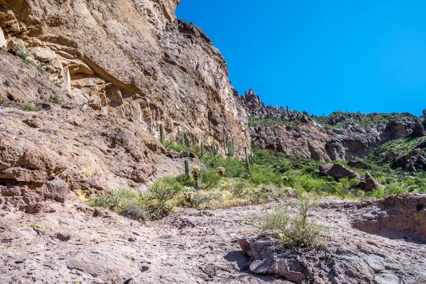 Overlooking View Nature Apache Junction Arizona — Stock Photo, Image