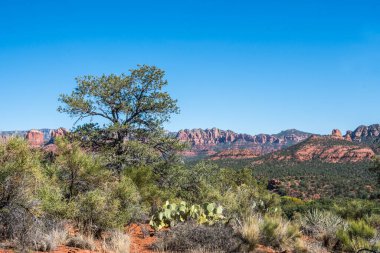 Red Rock Buttes manzarası Red Rock State Park, Arizona