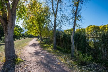 Cottonwood, Arizona 'daki manzara muhteşem.