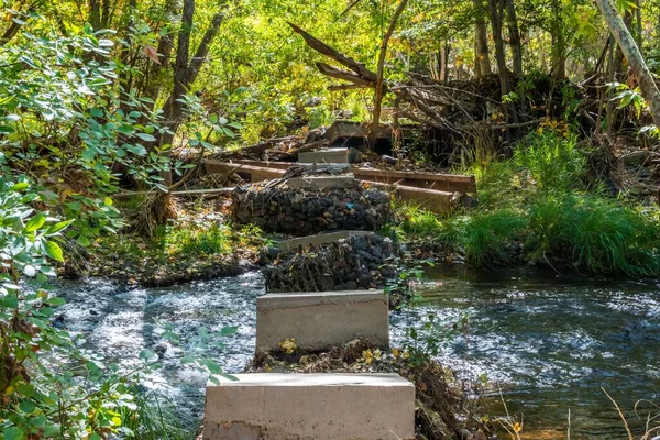Refrescante Flujo Recursos Hídricos Naturales Del Parque Reserva —  Fotos de Stock