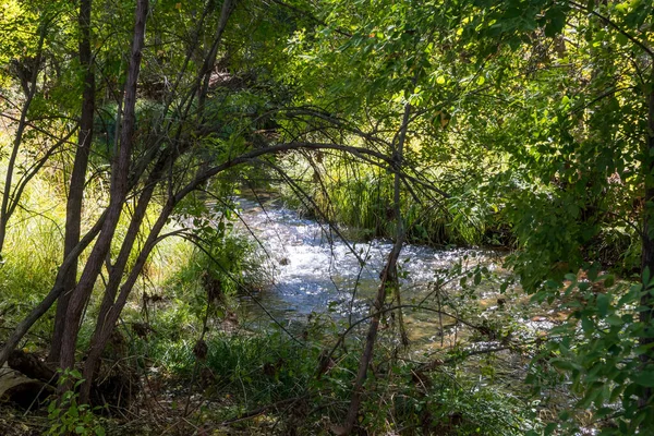 Der Erfrischende Fluss Natürlicher Wasserressourcen Aus Dem Naturschutzpark — Stockfoto