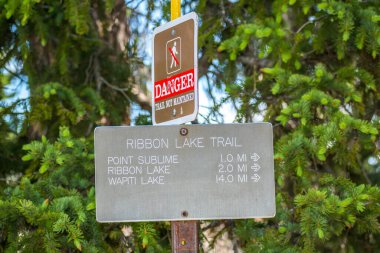Yellowstone NP, WY, ABD - 6 Temmuz 2019: The Ribbon Lake Mountain Trail