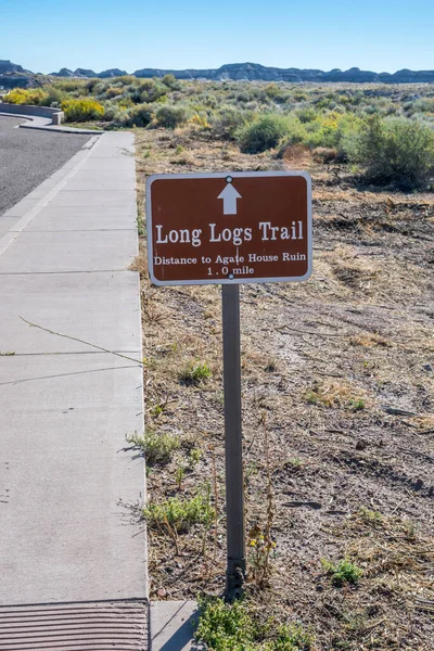 Petrified Forest Usa Ottobre 2019 Sentiero Lungo Dei Tronchi Montagna — Foto Stock