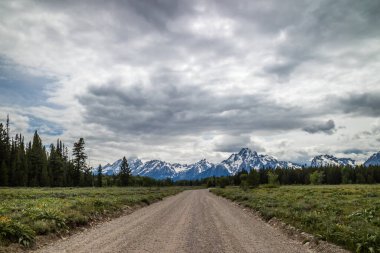 Grand Tetons NP, Wyoming 'e giden uzun bir yol.