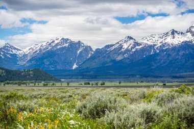 Koruma parkının yürüyüş izinden destansı dağ manzarası
