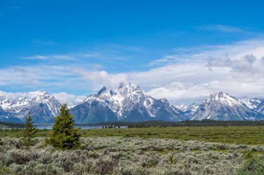 Koruma parkının yürüyüş izinden destansı dağ manzarası