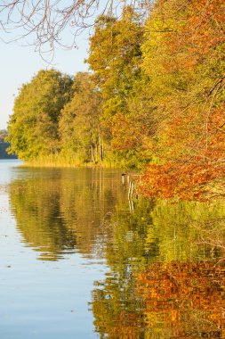 Jesienne Krajobthe Nad Jeziorem.