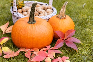 Jesienne Dekacje w ogrodzie. 