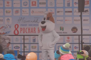 Polonya, Silezya, Bielsko-Biala 2019.02.03 Debowiec Kayak bulaşık