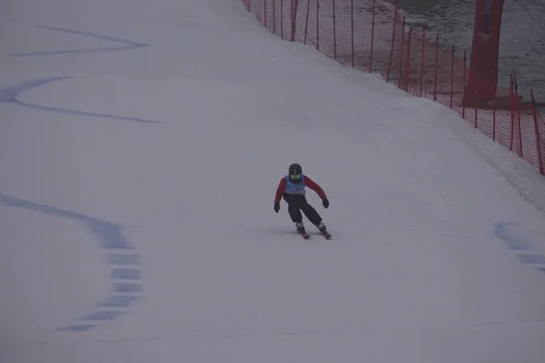 Polen Schlesien Bielsko Biala 2019 Lund Ski Slask — Stockfoto