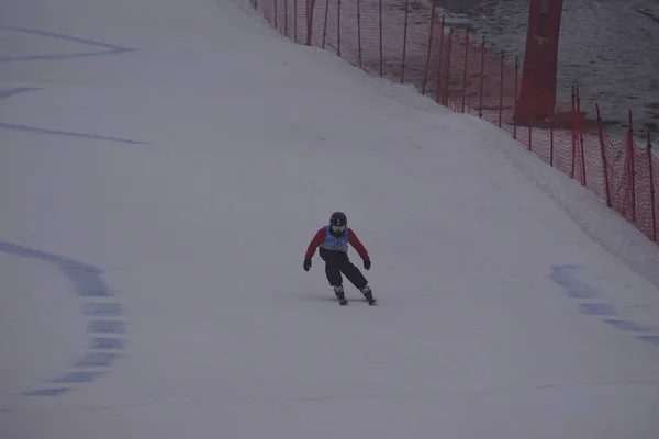 Polen Schlesien Bielsko Biala 2019 Debowiec Skipiste — Stockfoto