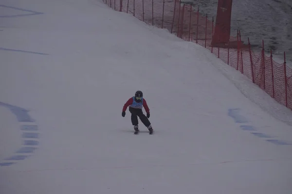 Polen Schlesien Bielsko Biala 2019 Lund Ski Slask — Stockfoto