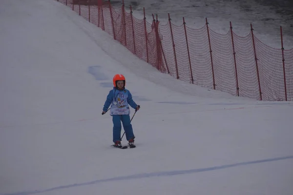 Polen Silezië Bielsko Biala 2019 Dębowiec Ski Slop — Stockfoto