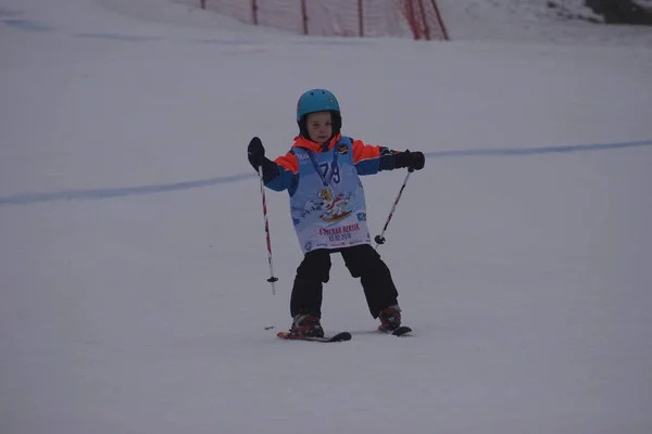 Poland, ��l��skie, Bielsko-Bia��a 2019.02.03 D��bowiec — ストック写真