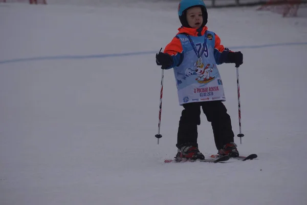 Polonia Slesia Bielsko Biala 2019 Pista Sci Debowiec — Foto Stock