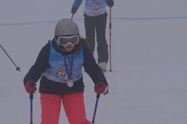 Polen Schlesien Bielsko Biala 2019 Lund Ski Slask — Stockfoto