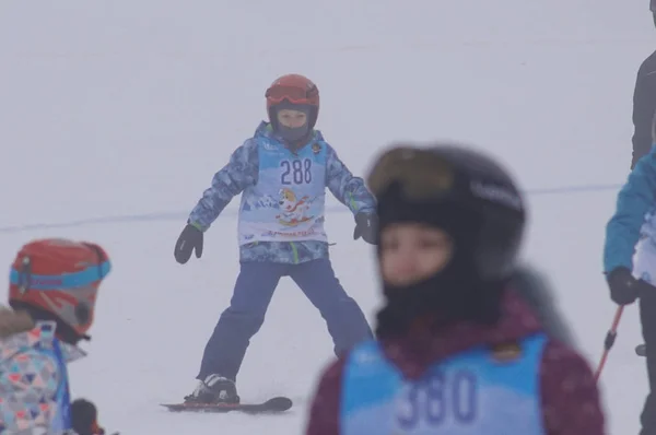 西里西亚 比亚尔斯科2019 德博韦茨滑雪坡 — 图库照片