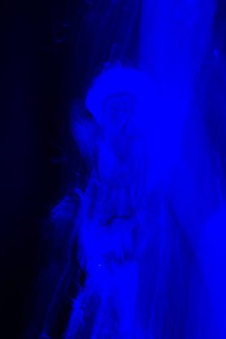 Işık-set ışık efektleri oyun ışıklar