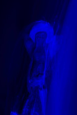 Işık-set ışık efektleri oyun ışıklar