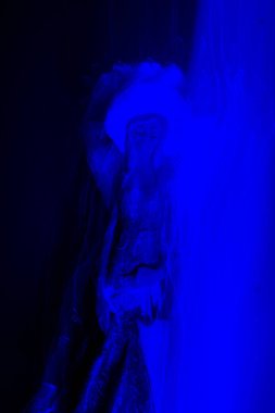 Işık-set ışık efektleri oyun ışıklar