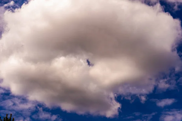 พื้นหลังท้องฟ้าสีฟ้าที่มีเมฆเล็ก ๆ พาโนรามา — ภาพถ่ายสต็อก