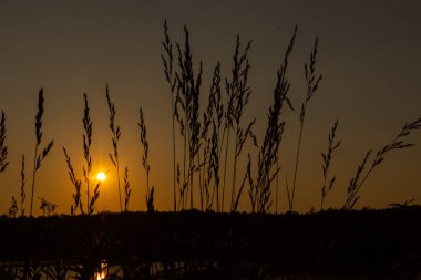 Gölde günbatımı. Akşam