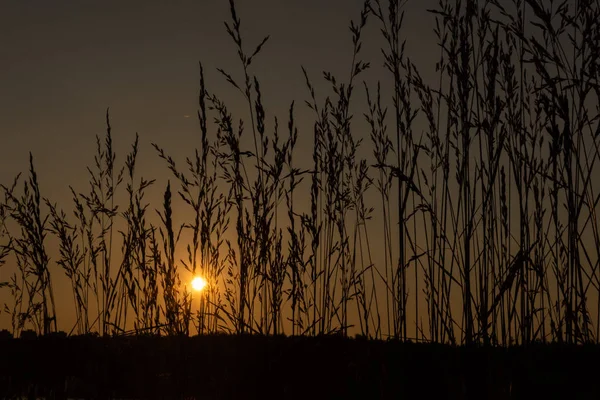 Solnedgang ved søen. Godaften - Stock-foto