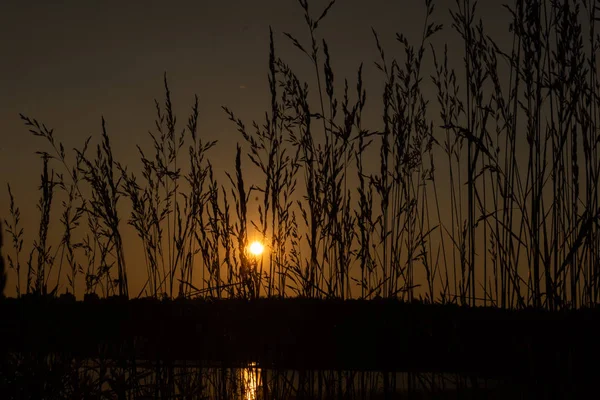 Puesta de sol en el lago. Buenas noches. — Foto de Stock